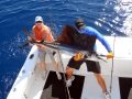 11-01-17-keys-8-web-sailfish-joe-b.jpg