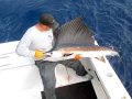 11-02-01-keys-3-web-sailfish-joe-b.jpg