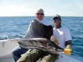 11-02-01-keys1-1-web-sailfish.jpg