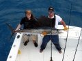 sailfish-2.jpg