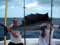 sailfish-8.jpg