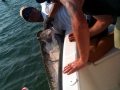 11-05-15-web-jeff-night-tarpon-trip-3.jpg