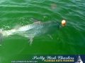 11-05-15-web-night-tarpon-trip-5.jpg