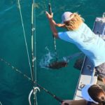 Islamorada offshore fishing report good gaff