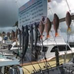 Islamorada offshore fishing report November 2016 8 11 8d