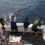Islamorada offshore fishing report Novembe