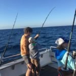 Florida keys Tuna action March 2017 3 Florida keys blackfin tuna