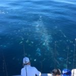Islamorada fishing report end of September 2016 24 islamorada fishing report sept 2016