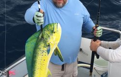 Islamorada January 6 fishing Dolphin
