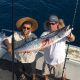 Islamorada fishing report February barracuda
