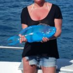 Islamorada fishing report February parrotfish