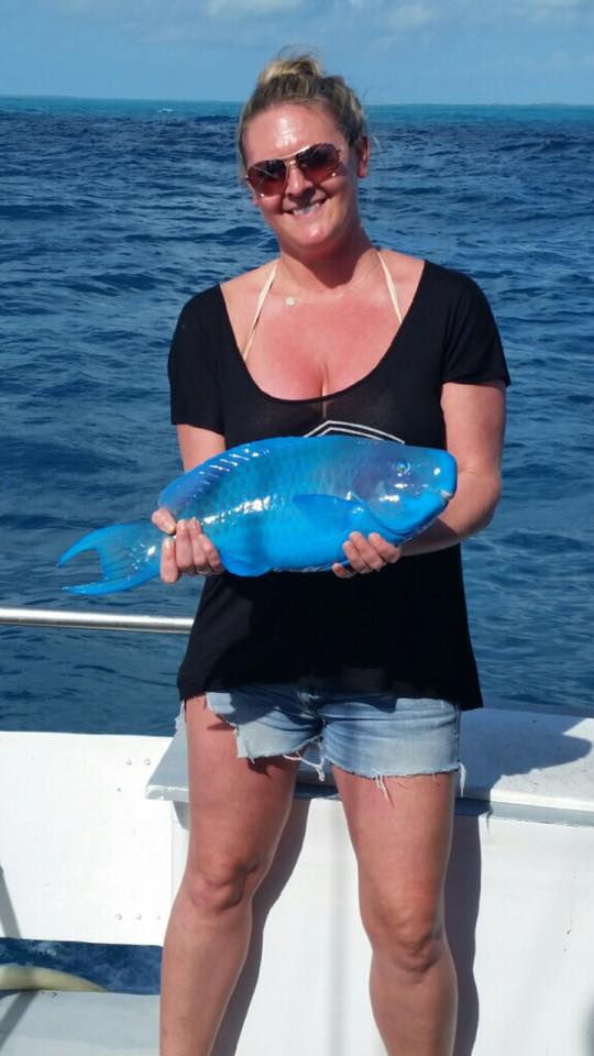 Islamorada fishing report February parrotfish