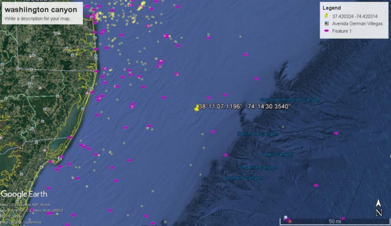 Live offshore fishing report hot dog