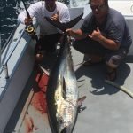 Live Offshore fishing report OCMD 7-3 5 offshore fishing report tuna