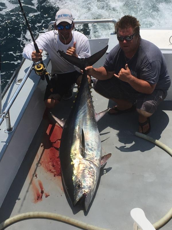 offshore fishing report tuna