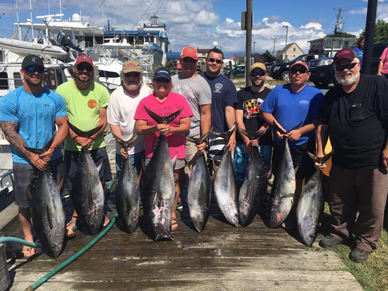 Live offshore fishing report 7-7