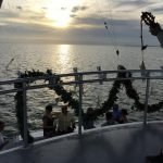 back fishing in islamorada