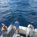 back fishing in islamorada