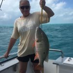 Islamorada November fishing reports 20 snapper fishing Islamorada November