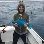 Islamorada January fishing 2018 4 Islamorada parrot fish