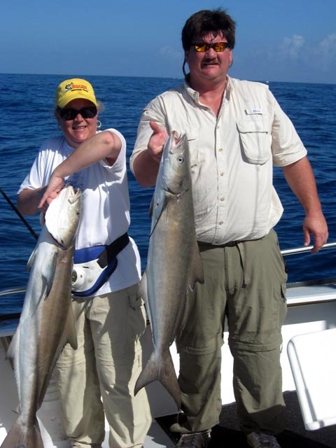 cobia