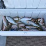 Islamorada fishing report