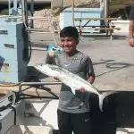 Fishing report for Islamorada Florida in November 25 1110c