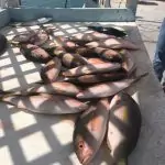 Fishing report for Islamorada Florida in November 33 Idlamorada reef fishing