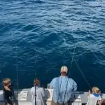 Fishing report for Islamorada Florida in November 3 Islamorada florida fishing report