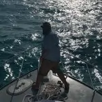 Fishing report for Islamorada Florida in November 4 Islamorada florida fishing report